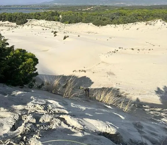 Bianca * SantʼAnna Arresi